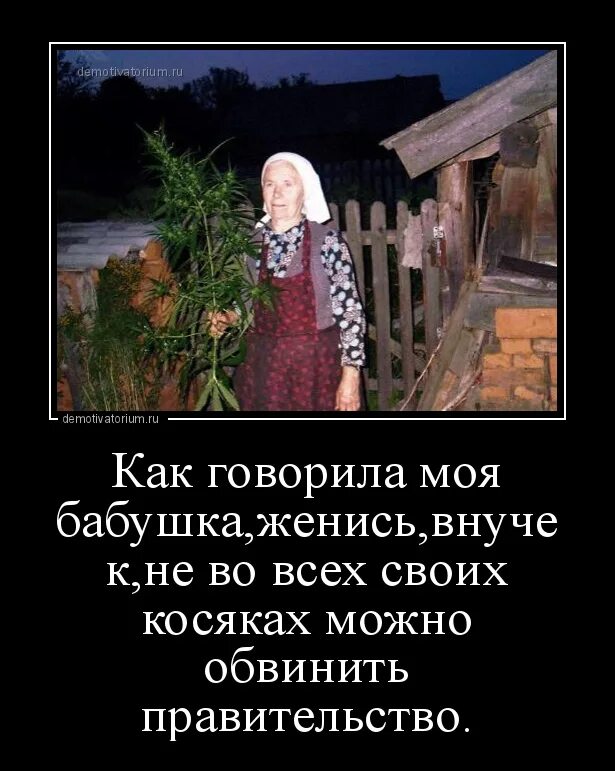 Бабушка говорит что нельзя. Слепая бабка. Бабушка говорит что нельзя. Демотиваторы про бабушек. Бабушка говорит что нельзя.