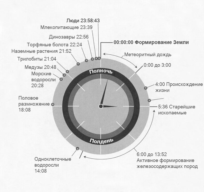 Сколько лет существует жизнь