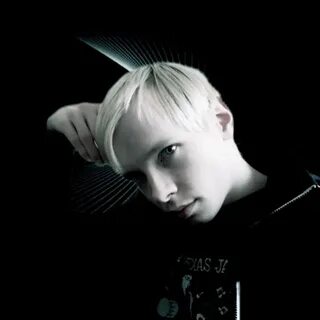 Dima dark forest