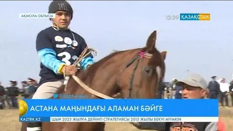 Тұлпар карта тараз