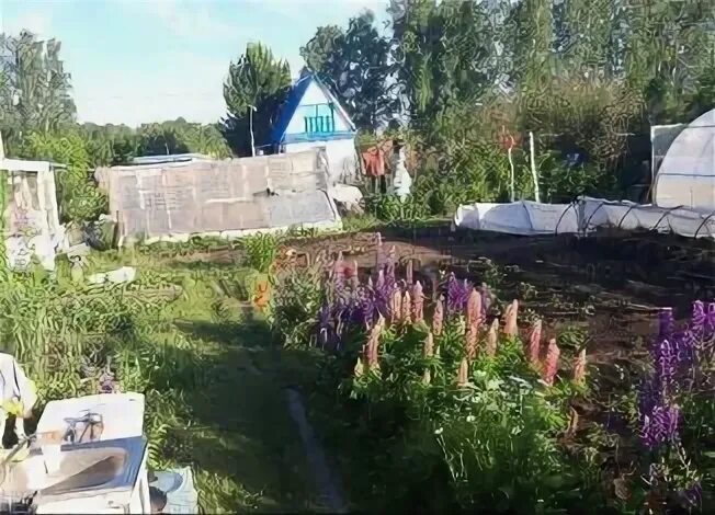 Сад медик челябинск. Дача в садоводстве медик бийск. Садоводства медик. Лукаши садоводство рассвет фото бани. Садоводства медик.