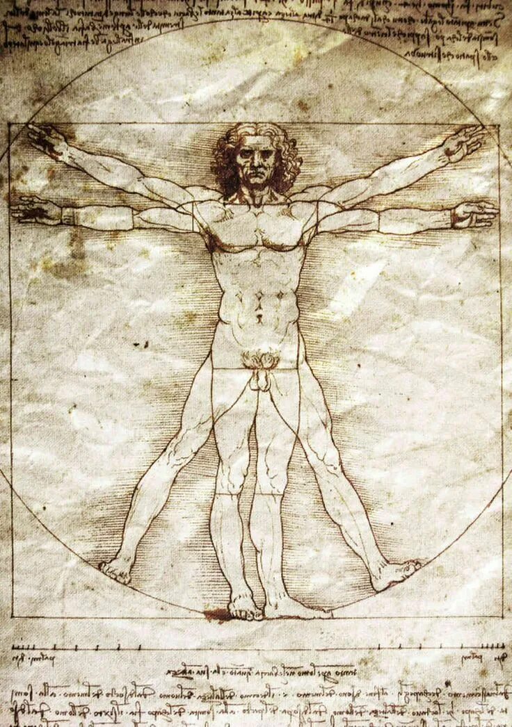 Леонардо да Винчи Витрувианский. Vitruvian man Леонардо да Винчи. Рисунок Леонардо да Винчи Витрувианский человек. Леонардо да Винчи. «Витрувианский человек», 1490 г.. Тело возрождение