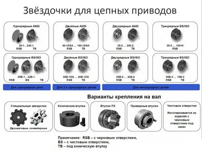 Звездочка виды