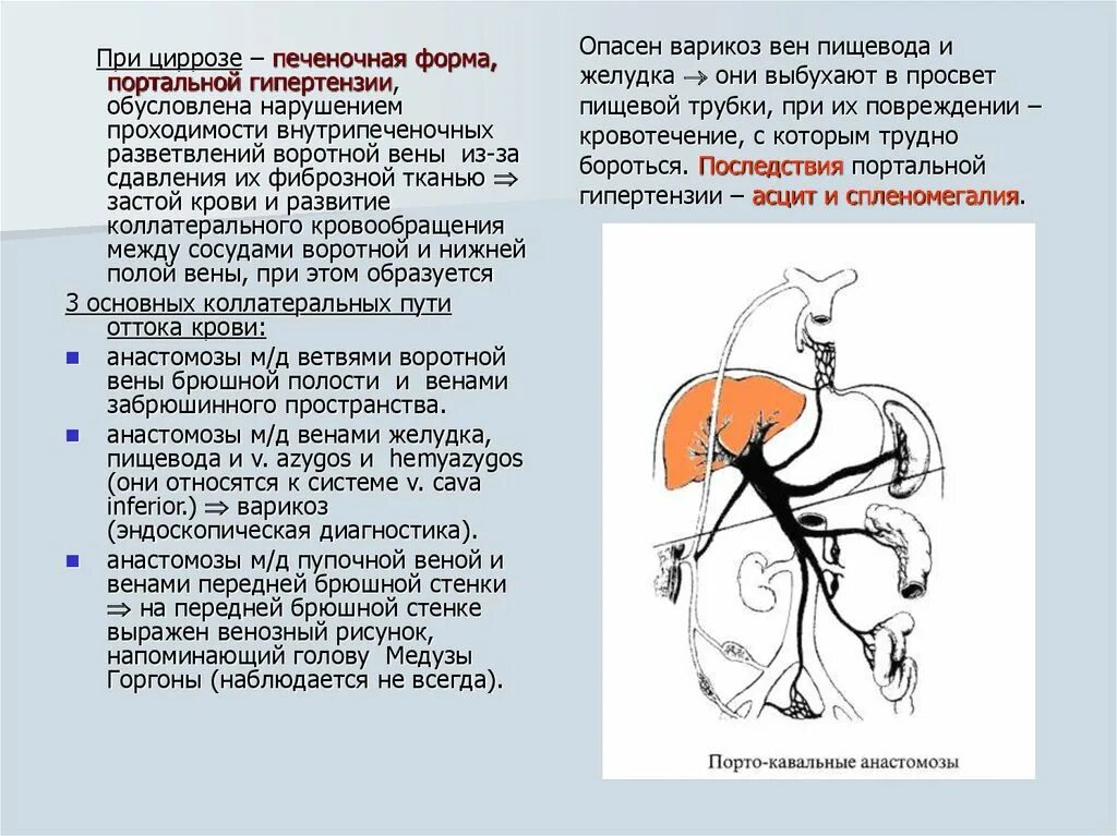 Печень расширены вены. Портокавальные шунты при портальной гипертензии. Портальная гипертензия анастомозы печени. Венозные анастомозы при циррозе печени. Коллатеральное кровообращение портальная гипертензия.