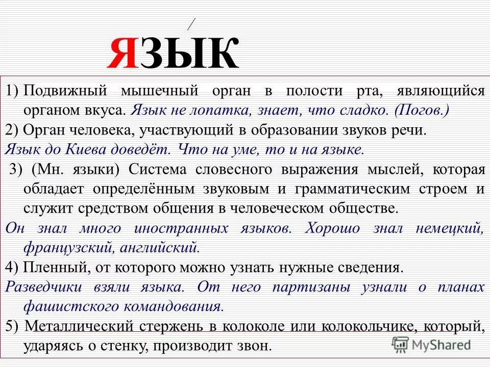 Язык не лопатка знает что сладко. Язык не лопатка знает что сладко. Кто хорошо жует тот долго живет. Шутки про язык. Язык не лопатка знает что сладко.