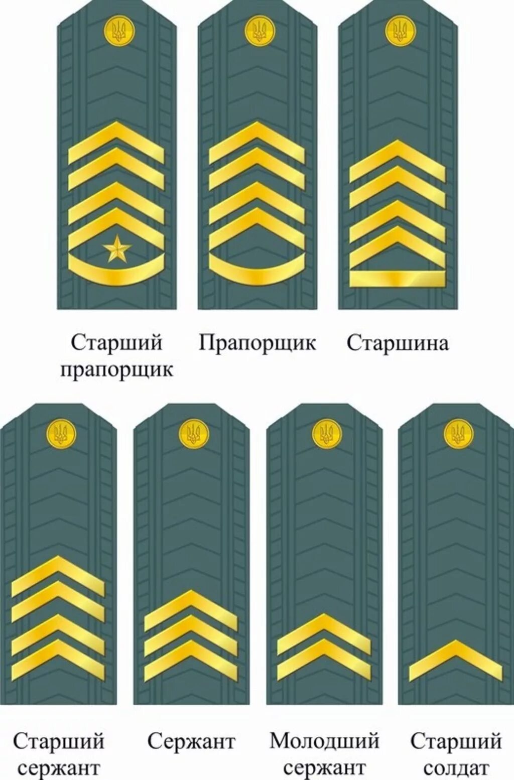 Две лычки на погонах звание в армии. Погоны старшины Российской армии. Старшина прапорщик погоны. Звание старший сержант погоны. Сержант какие погоны