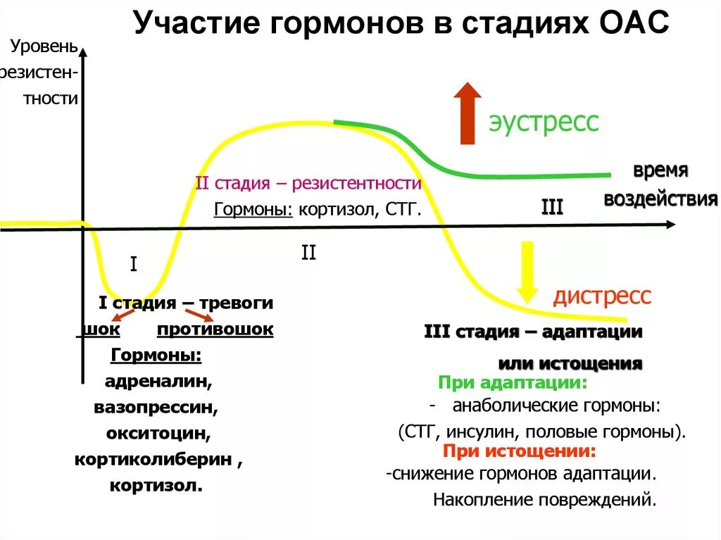 Вызывающий тревогу гормон. Стресс Селье стадии гормоны. Гормоны стресса в стадии резистентности. Таблица стресс стадия гормоны механизмы исходы. Схема влияния кортизола.