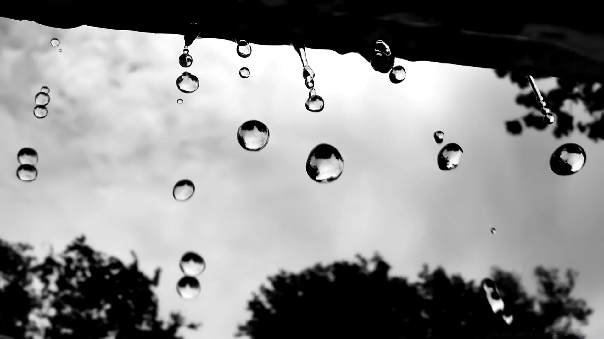 Падающие капли воды. Капли падают. Капли дождя. Капли дождя падают.