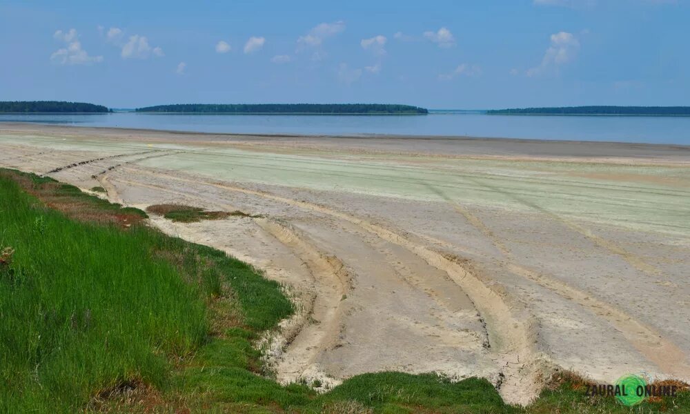 Курган озеро медвежье. Озеро Медвежье Курганская. Озеро Медвежье Курганская область. Курган Курган озеро Медвежье. Курган соленое озеро.