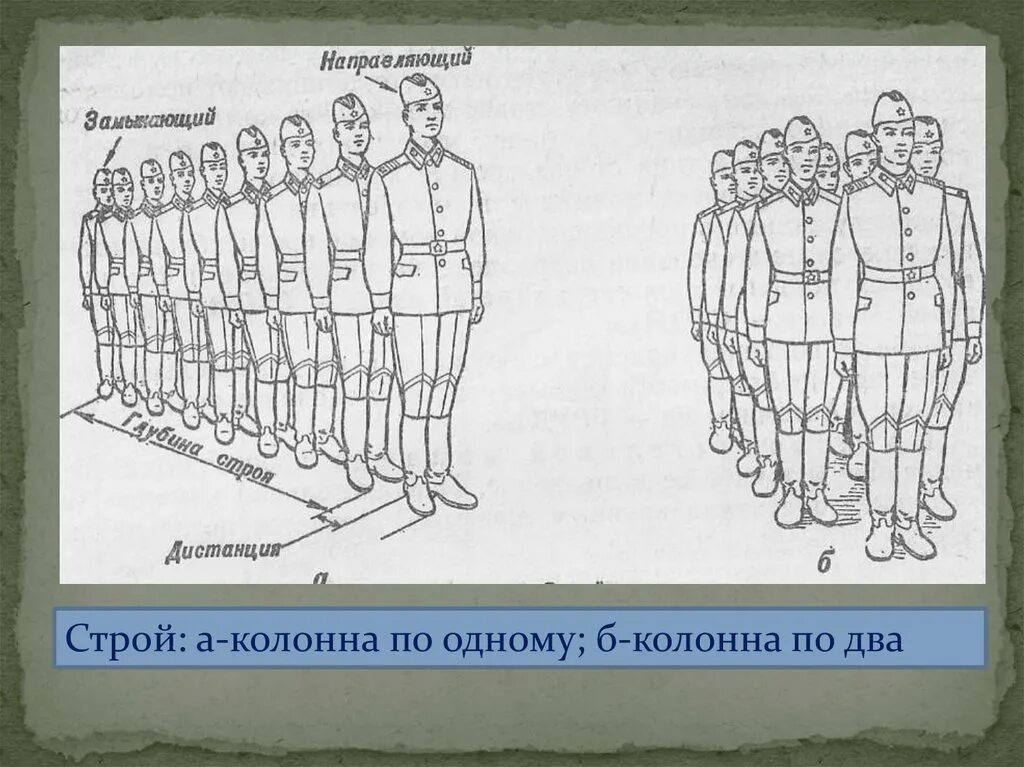 Что такое Строй шеренга колонна. Строй схема. Колонна строевая подготовка. Элементы строя в шеренге.