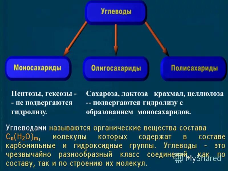 Гидролизу подвергается глюкоза рибоза целлюлоза