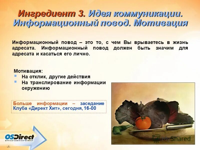 Обязательная экипировка всадника. Структура текста в журналистике. Какой должен быть повод. Фразы про цветы без повода. Лейтенантская проза члены.