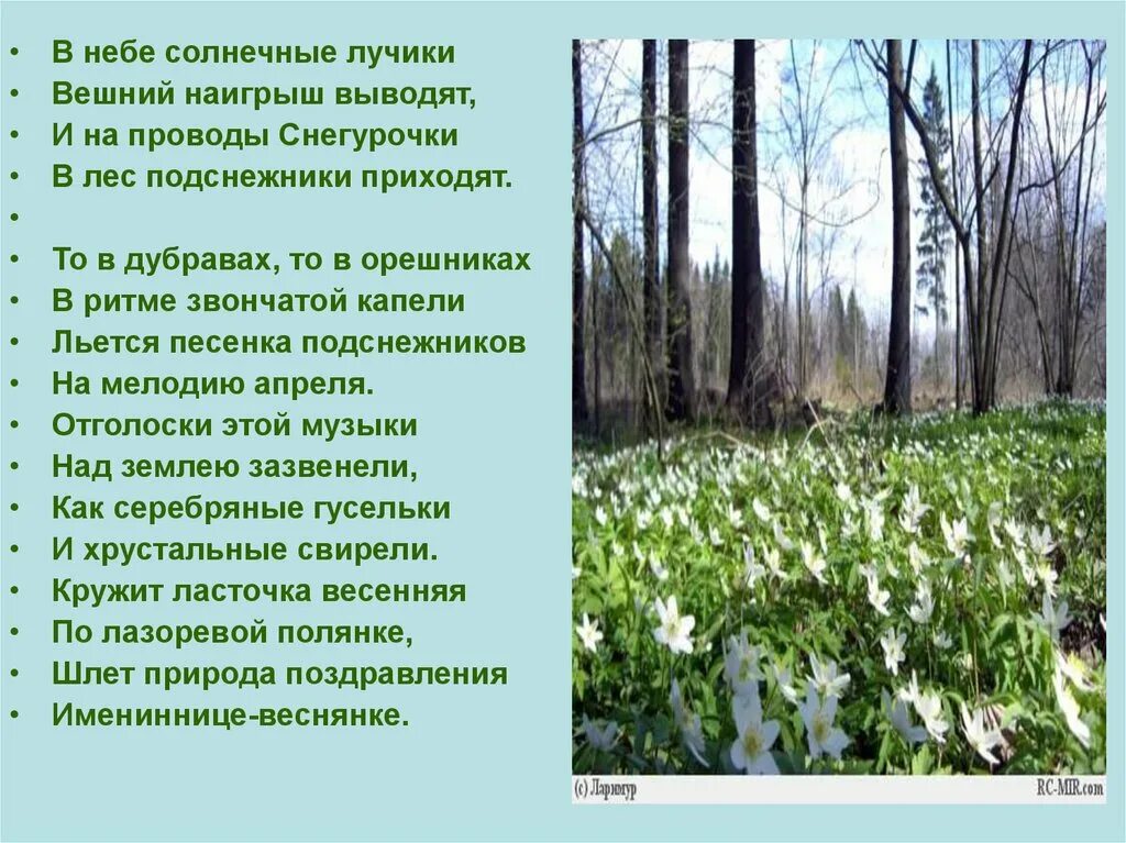Лес весной описание. Сочинение про весну. Сочинение краски весеннего леса 2 класс. Лес весной описание. Сочинение на тему весенний лес.
