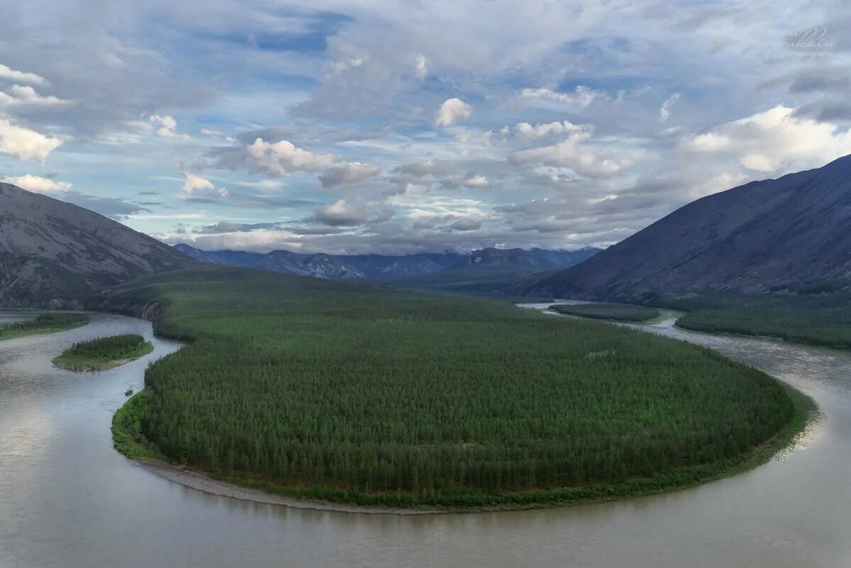Усть Нера река Индигирка. Индигирка река реки Якутии. Северо Восточная Сибирь река Индигирка. Река Колыма и Индигирка.