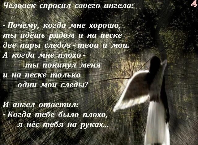 Я плохая ты хороший стих кто написал. Стих ангел. Стих про ангела. Стихотворение про ангелов хранителей. Стих про ангела хранителя.