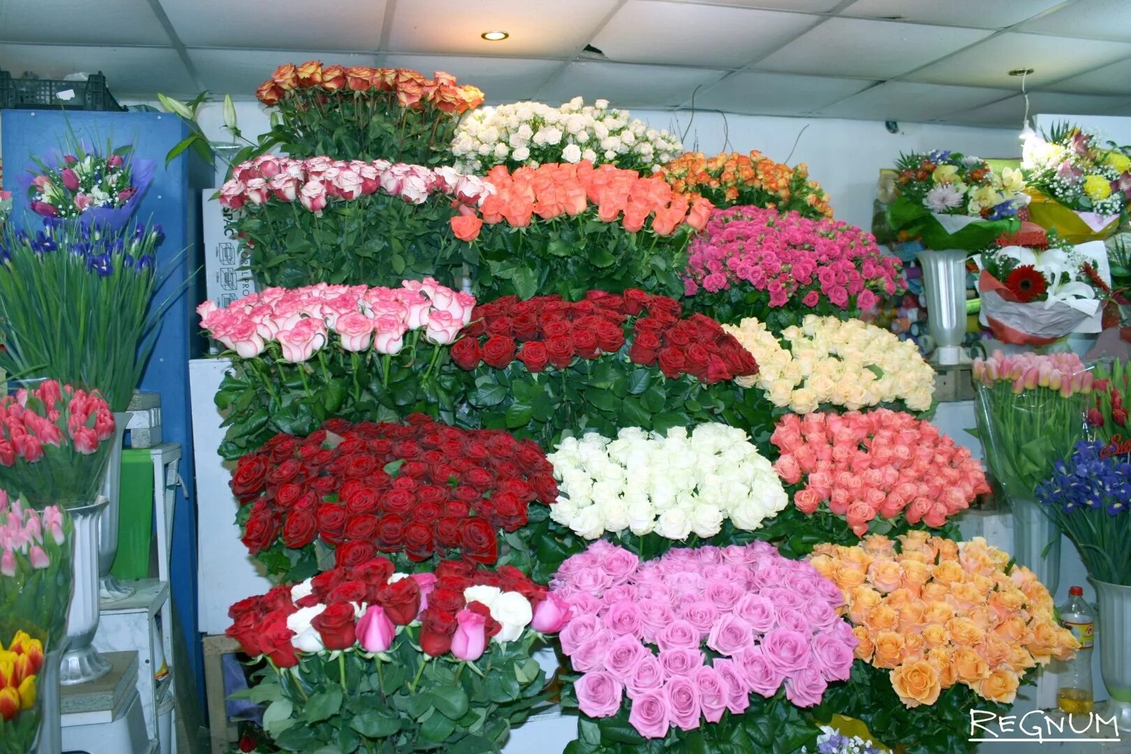 Сколько можно купить роз. Цветы магазинные. Много букетов. Букеты цветов в магазине. Свежесрезанные цветы.