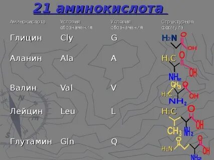 21 названия
