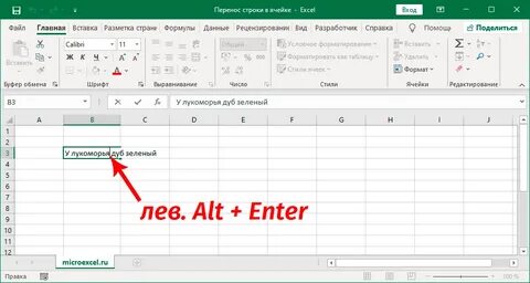 Символ переноса на новую строку