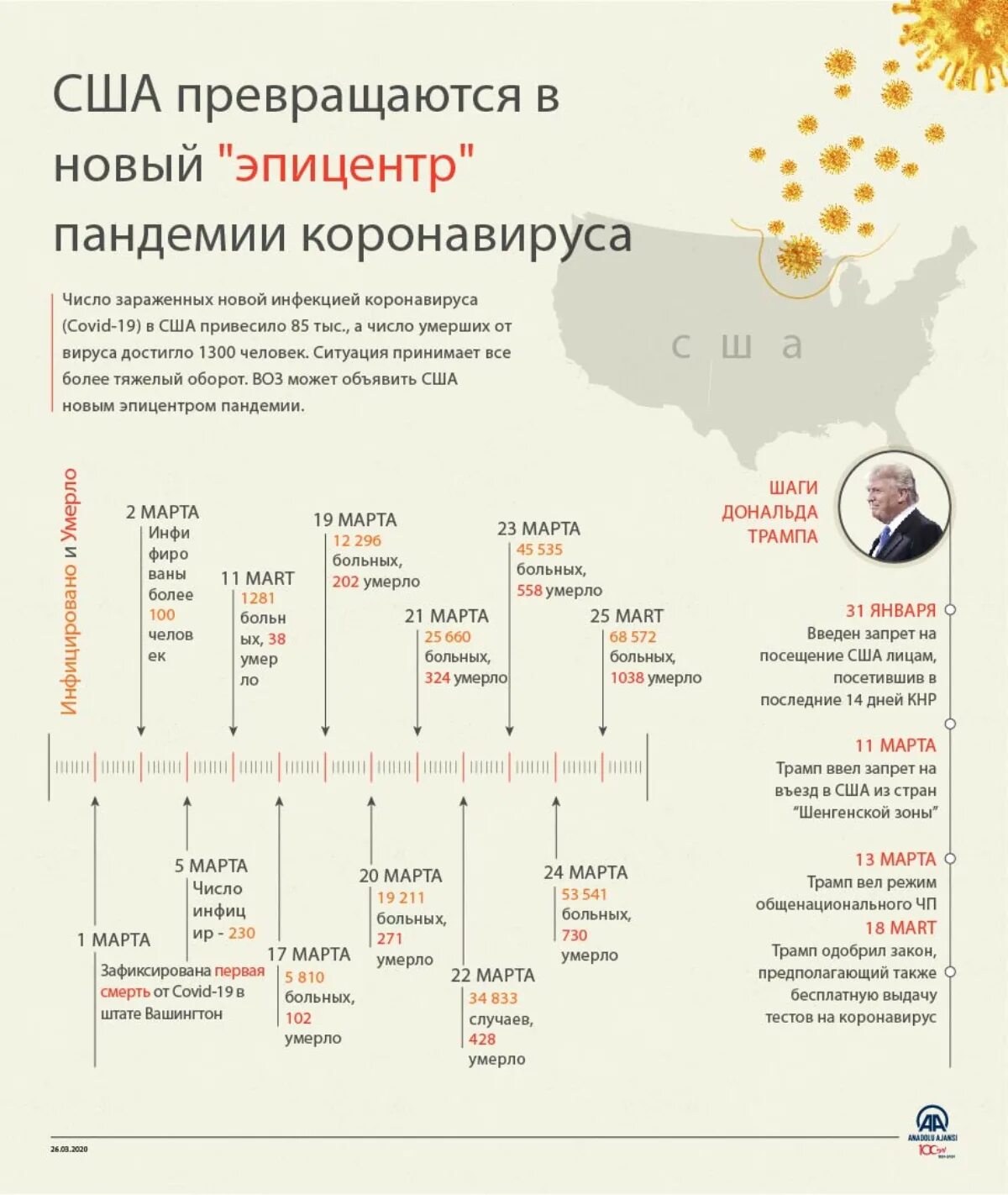 Сколько смертей произошло. Число смертей от коронавируса. США коронавирус статистика. Пандемия инфографика. Смертность от коронавируса в США.