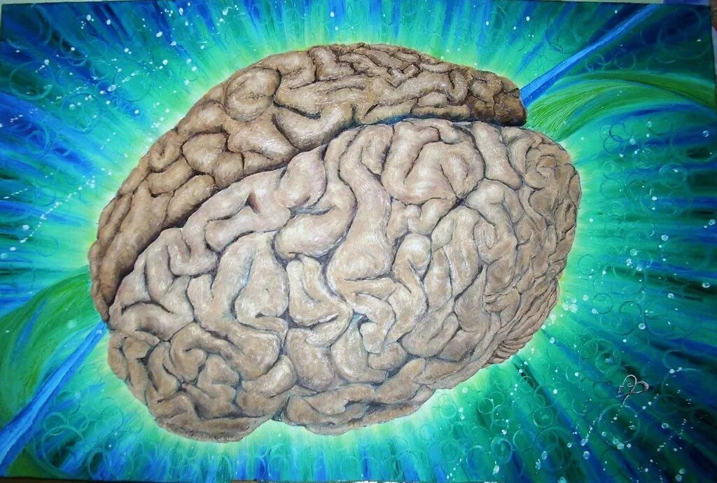 Последний мозг. Красивый мозг. Мозг человека арт. Картина мозга человека.