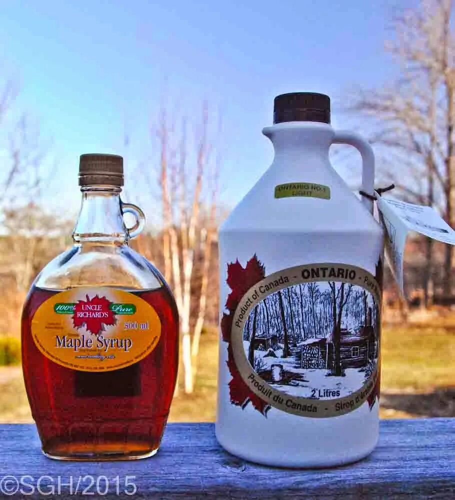 Maple сироп канадский. Клен для кленового сиропа. Кленовый сироп из чего делается. Кленовый сироп америка. Кленовый сироп из чего делается.