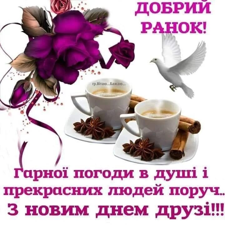 Добрий ранок доброго дня. Доброго ранку друзі. добрий ранок гарного дня. доброго ранку і гарного дня. доброго ранку і гарного настрою.