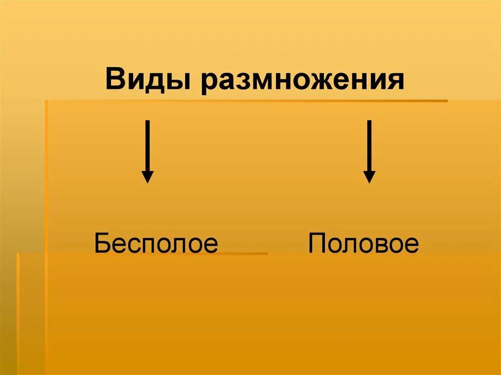 Типы размножения. Размножение виды размножения. Типы размножения в живой природе. Бесполое размножение.