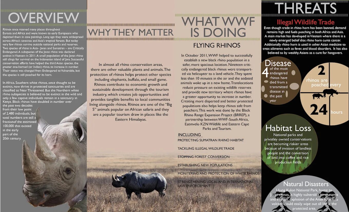 Release reduce adopt reusable endangered species. WWF плакаты. WWF брошюра. Социальная реклама WWF. Социальные плакаты WWF.