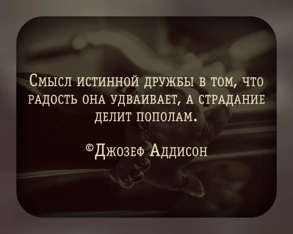 Дружба высказывания цитаты. Цитаты про дружбу. цитаты про друзей. цитаты про дружбу со смыслом. высказывания о дружбе.