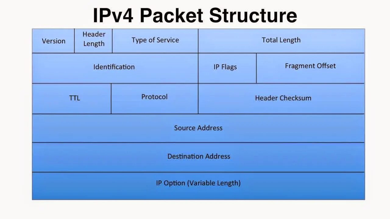 структура ipv4 протокола. Ip precedence. (tcp/ipv6). структура ipv4. Length version.