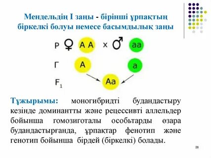 Орыс порно жалап