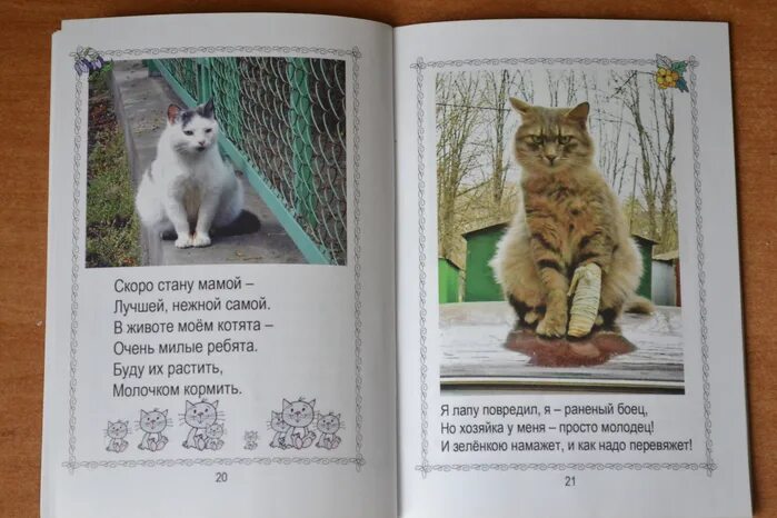 Стань котиком