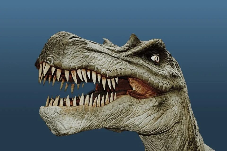What dinosaur have 500 teeth. What dinosaur have 500 teeth. Динозавр с 500. Dinosaur has 500 teeth. What dinosaur have 500 teeth.