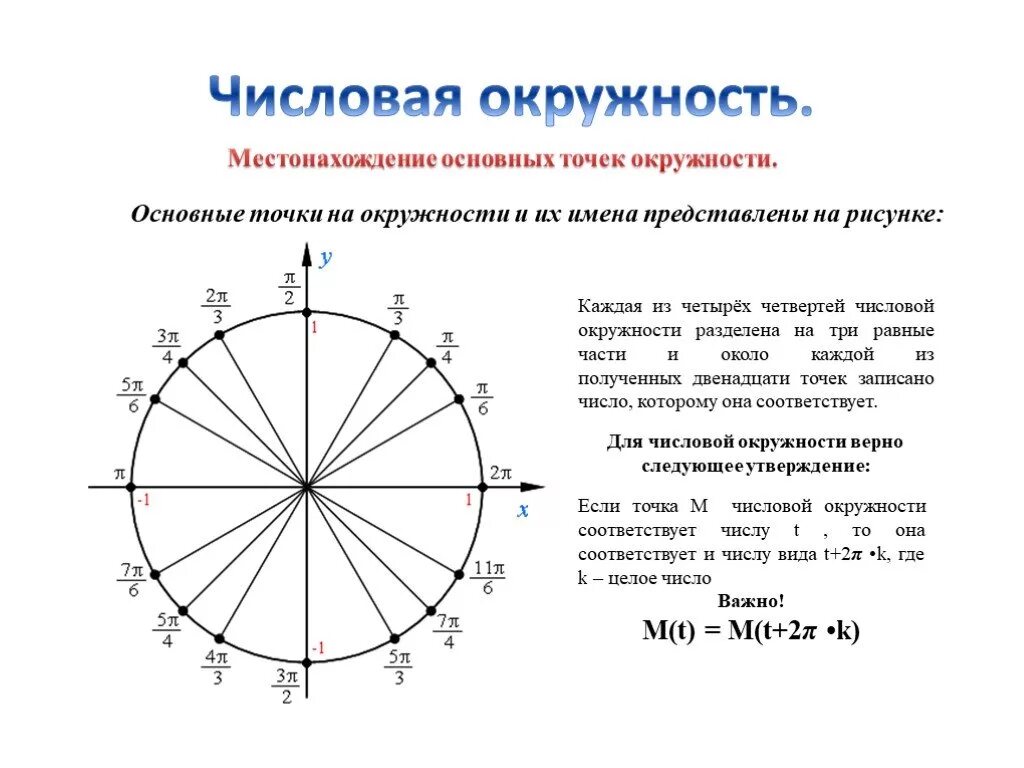 Тригонометрические функции числовая окружность 10 класс. Числовая единичная окружность. Тригонометрический круг единичная окружность. 10 Класс числовая окружность тригонометрический круг. П 12 на окружности