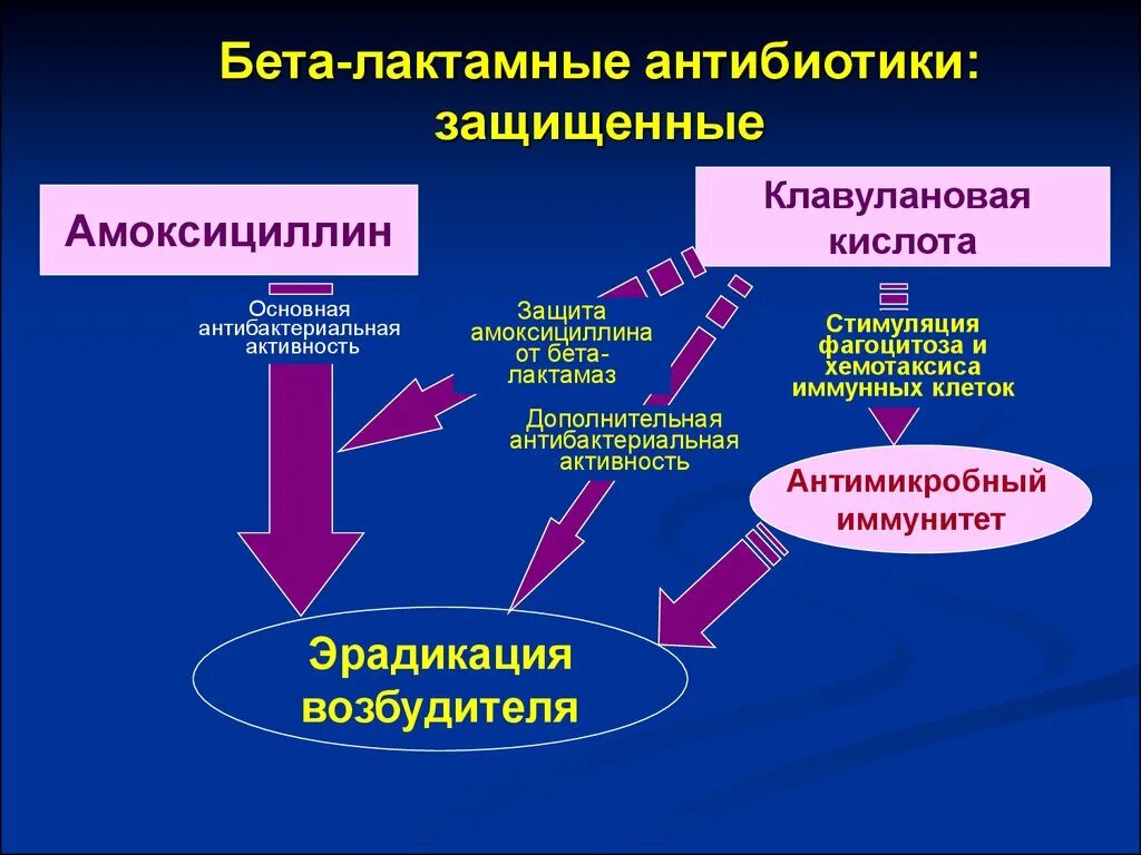 Антибиотики группы бета. Бета-лактамные антибиотики синтетические. Защищенные бета лактамные антибиотики это. Точки приложения бета лактамных антибиотиков. Беталоктамные антибиотики.