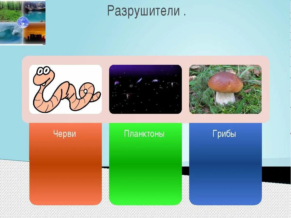 Разрушители жизни