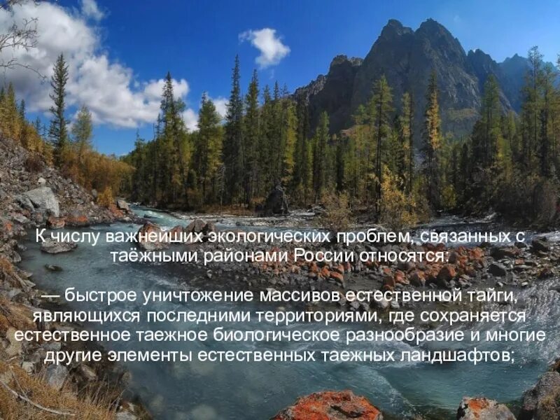 Основная причина экологических проблем в тайге. Экологические проблемы тайги. Тайга экологическая ситуация. Экологические проблемы зоны тайги. Экологические проблемы тайги в России.