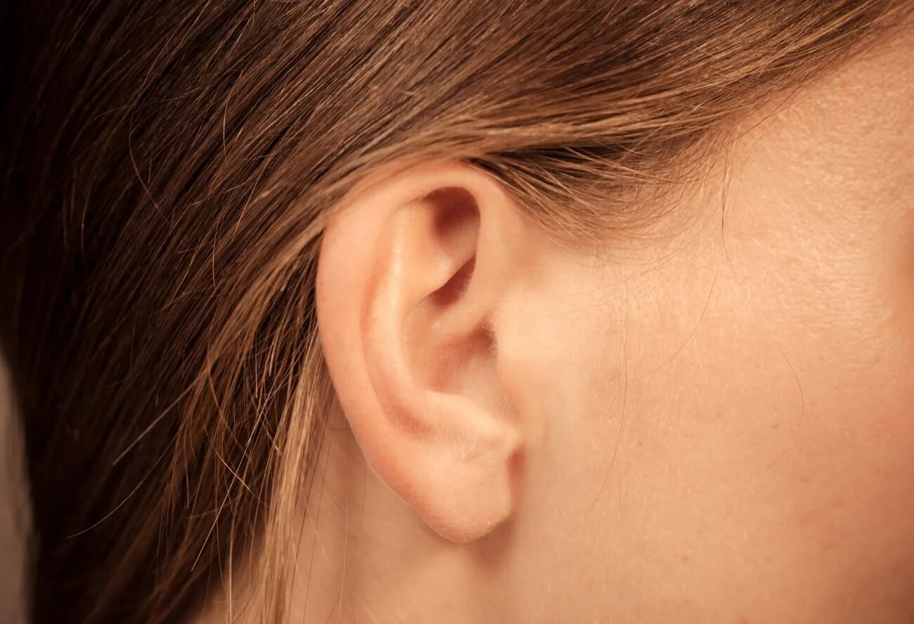 ухо с маленькой мочкой. прокол трагус скарлетт йоханссон. сережки в ушах. минималистичные золотые серьги.