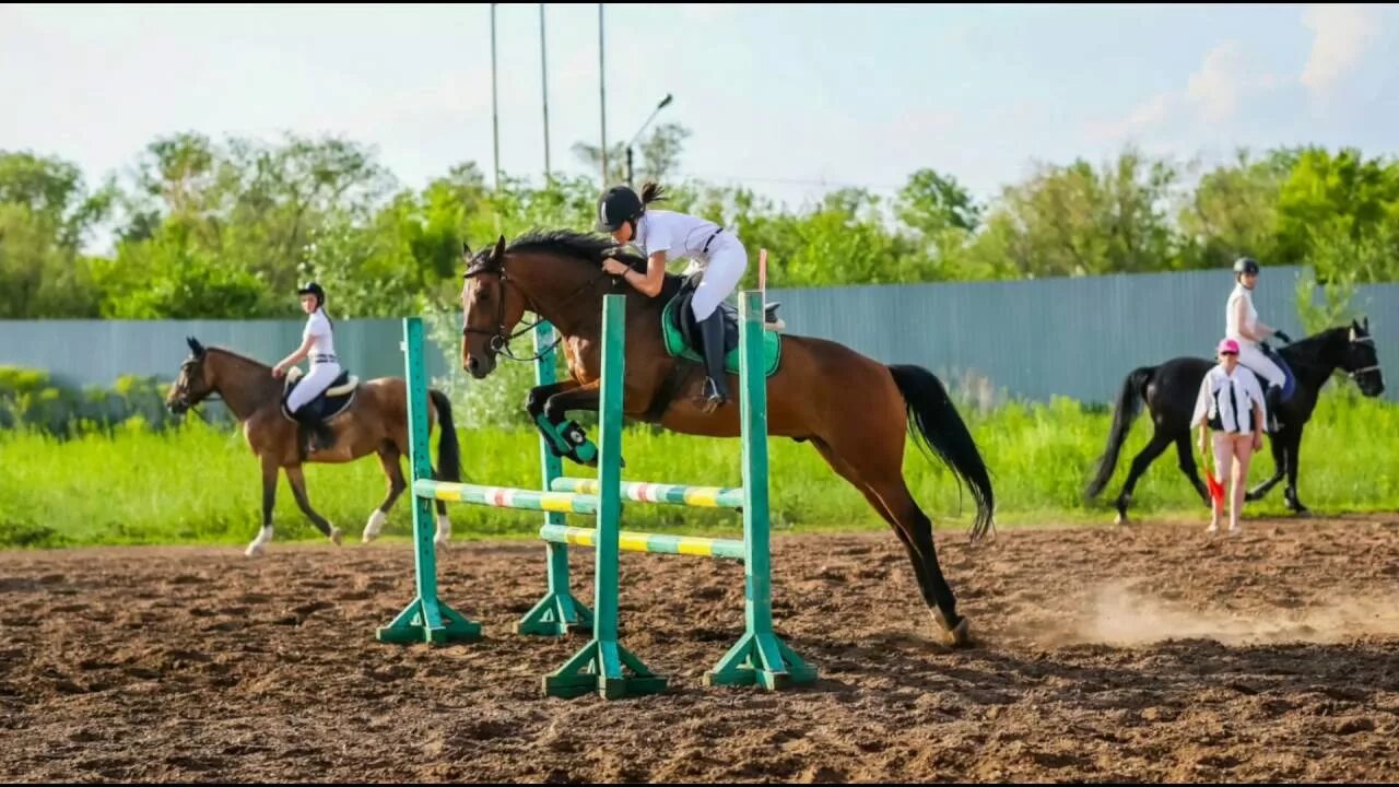 Кск гармония. КСК Гармония Оренбург. Конный клуб Гармония Оренбург. Конный клуб Марков и ко Оренбург. Конюшня Оренбург Гармония.