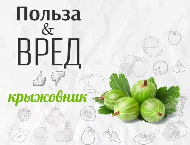 Крыжовник польза для здоровья. Чем полезен крыжовник. Чем полезен крыжовник для организма. Крыжовник польза и вред. Витамины в крыжовнике полезные.