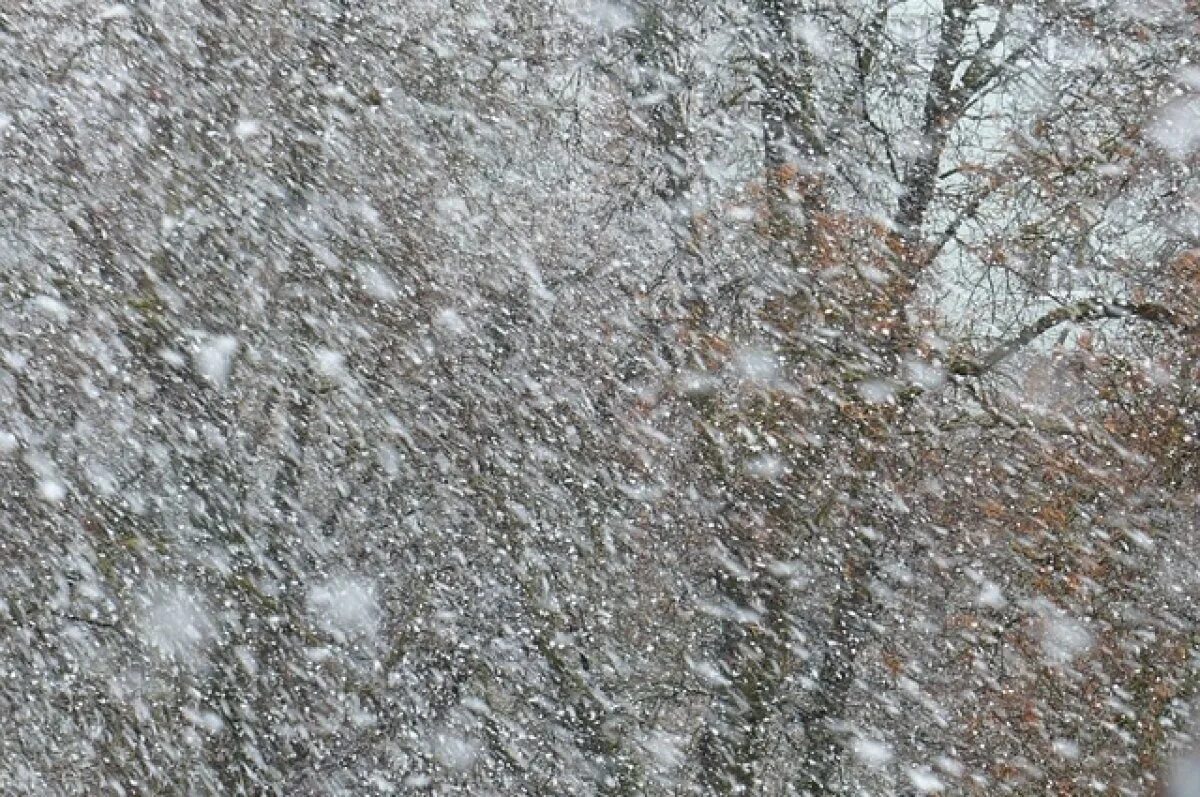 Сильный мокрый снег. Мокрый снег. Ливневый дождь со снегом. Мокрый снег с дождем. Крупные хлопья снега.