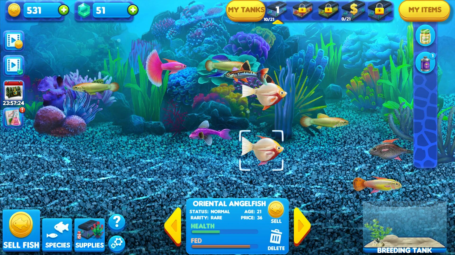 Игра Fish Tycoon. Игра аквариум. Игра про рыб в аквариуме.