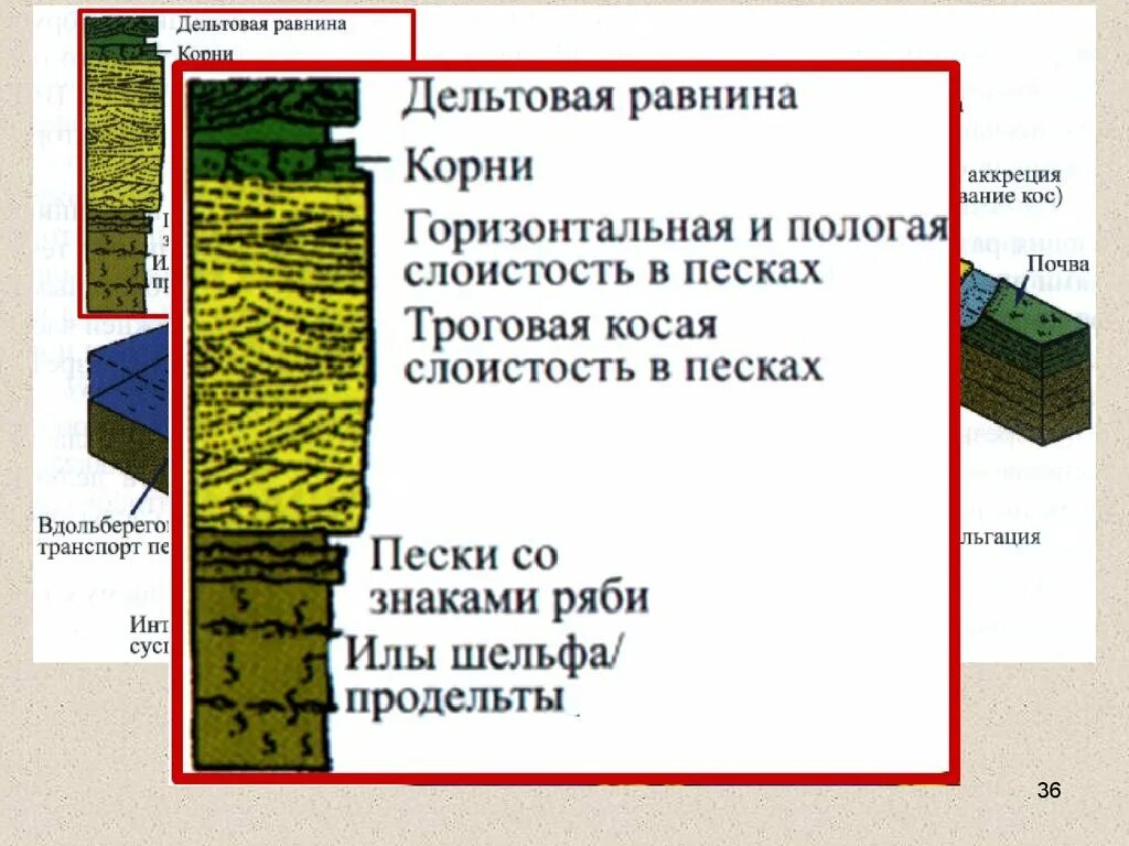 Первичные равнины. Равнинный корень. Аллювиальная обстановка осадконакопления. Равнинная местность как пишется. Степи и прерии.