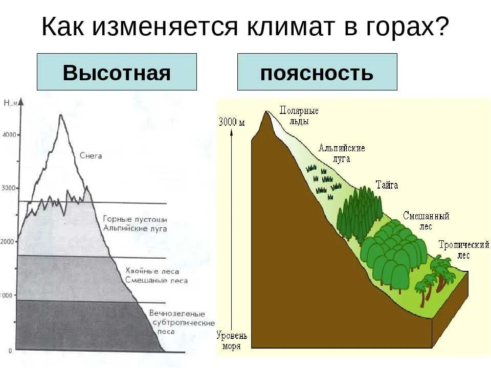 Природные зоны кавказа и урала. Области ВЫСОТНОЙ поясности пояс. Природные зоны ВЫСОТНОЙ поясности. Горы России и Высотная поясность таблица.