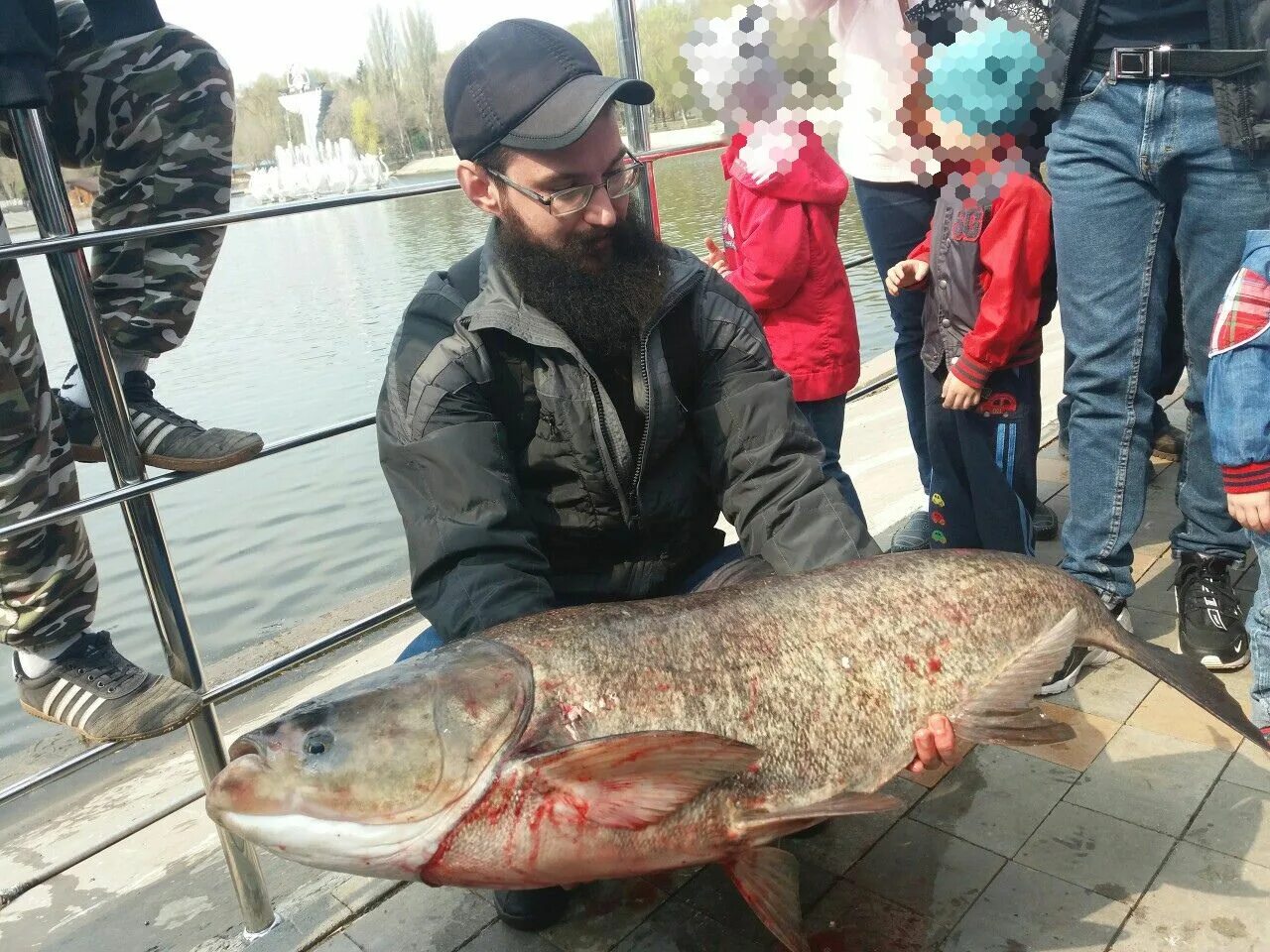 Огромная рыба. Гигантские рыбы. Огромный толстолобик.