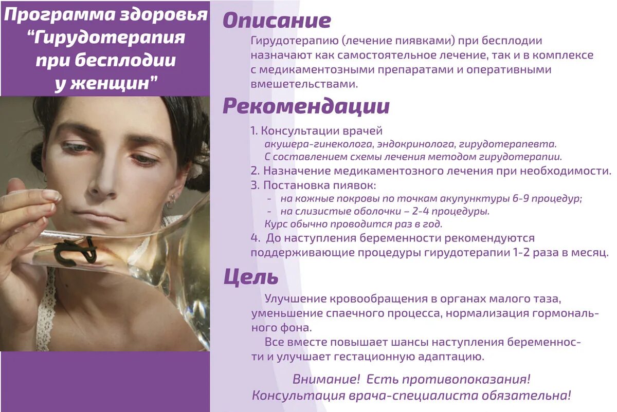 Способ хранения пиявок. Гирудотерапия противопоказания. Пиявки противопоказания. Гирудотерапия листовки. Пиявки курс лечения.
