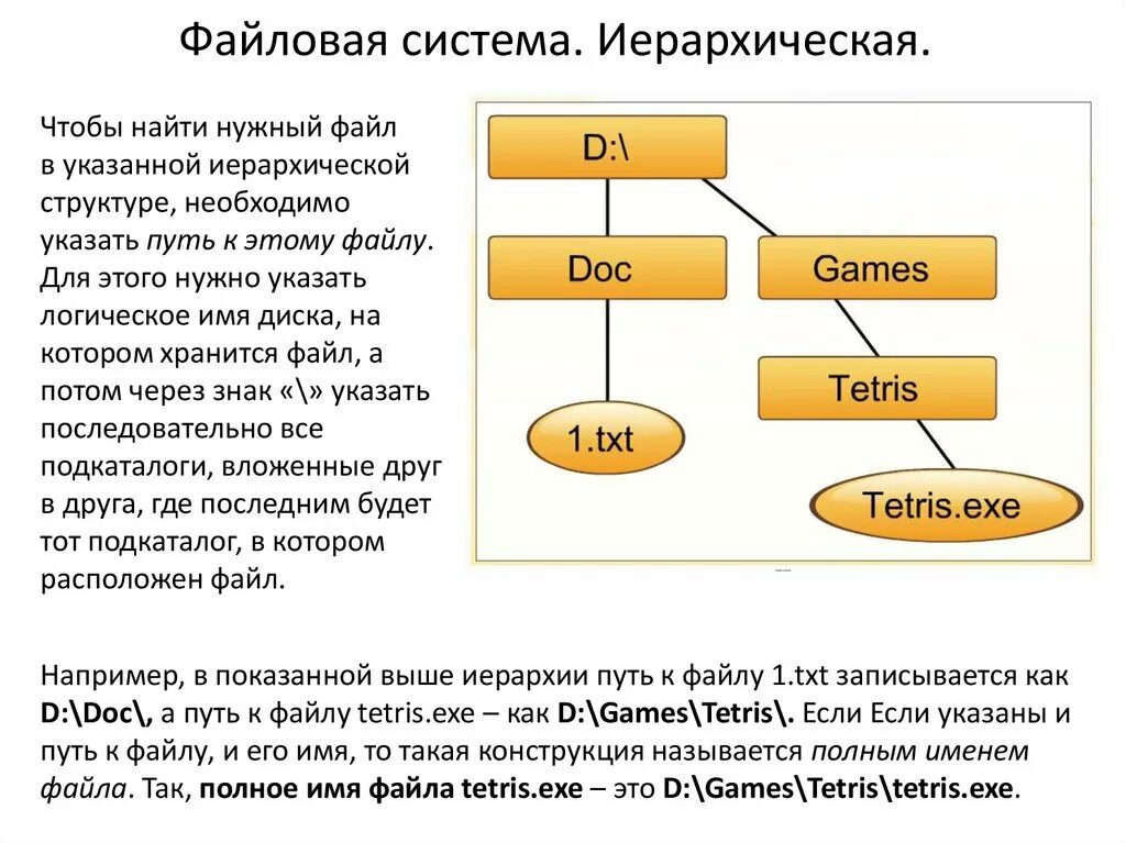 Файловая система. Структура файловой системы. Иерархия файловой системы. Структура файлов в файловых системах. Структура txt