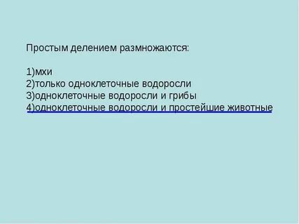 Тест размножение и развитие человека