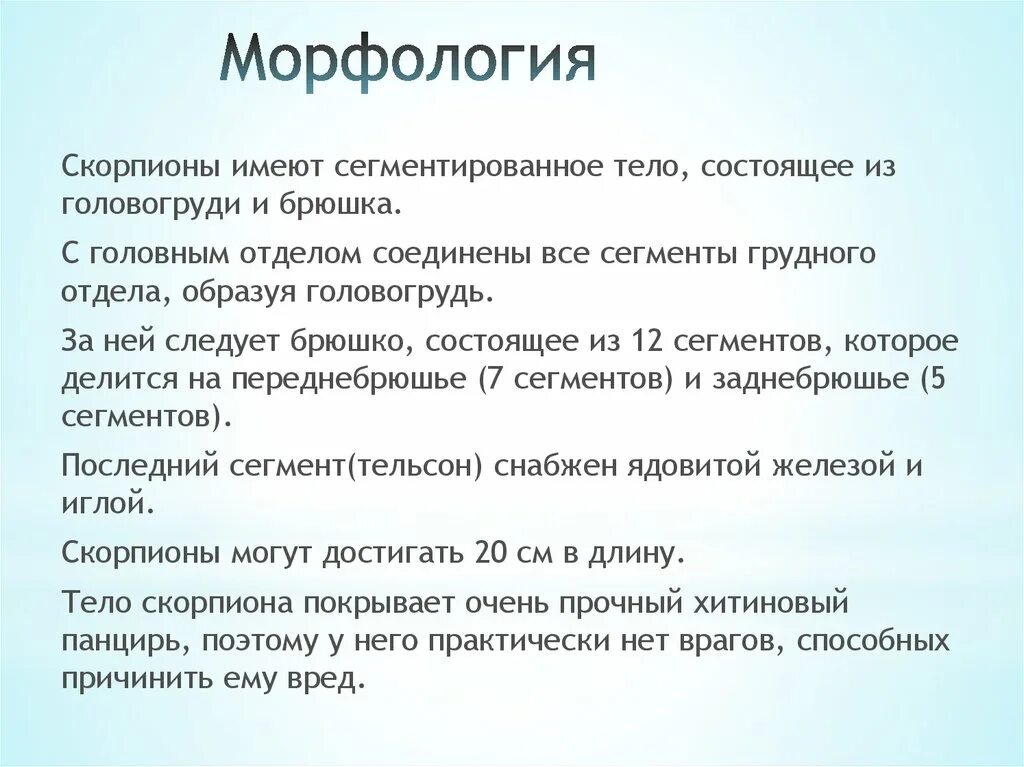 Морфология 2 процента. Морфология скорпионов. Отряд Скорпионы медицинское значение. Скорпионы имеющие медицинское значение. Медицинское значение скорпионов.