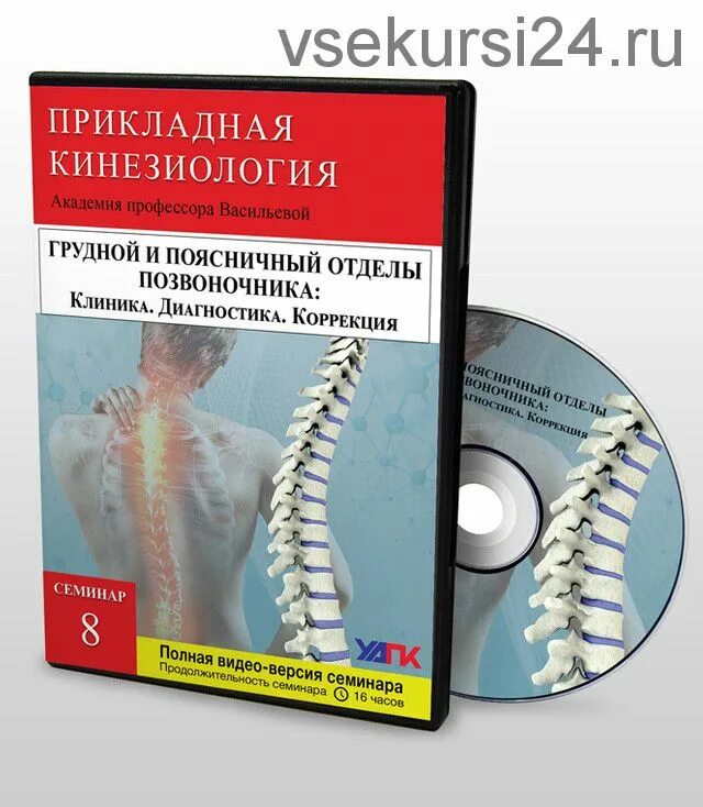 Васильева прикладная кинезиология книга. Прикладная кинезиология. Прикладная кинезиология УАПК. Клиника позвоночника. Профессор Васильева кинезиология.